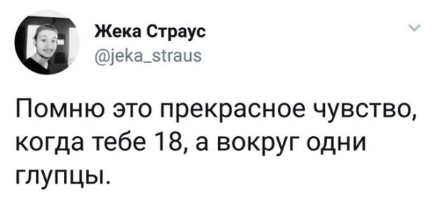 Подборка картинок. Вечерний выпуск (23 фото)