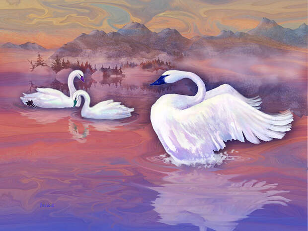 swan-lake-teresa-ascone.jpg