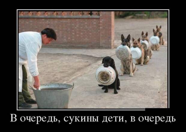 Демотиваторы (30 фото)