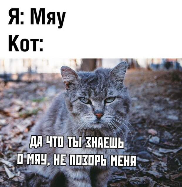 картинки