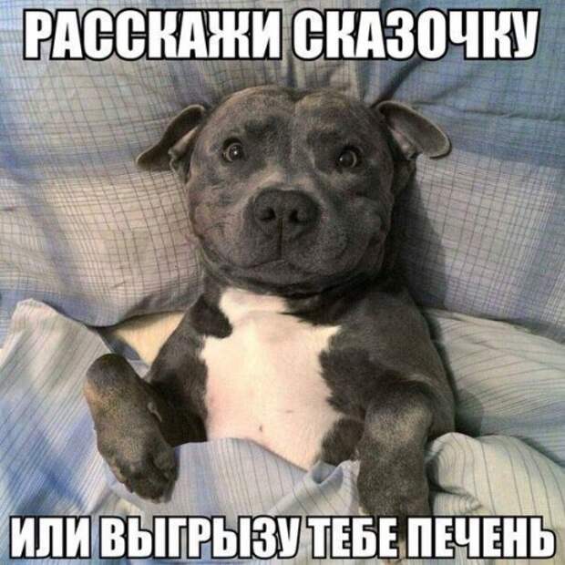 Пятничные прикольные картинки (52 шт)