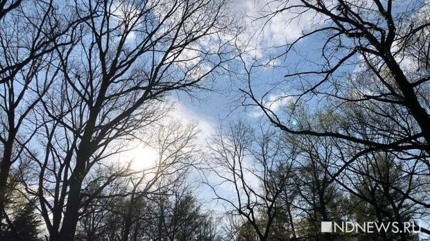 Дендрарий закроют до майских