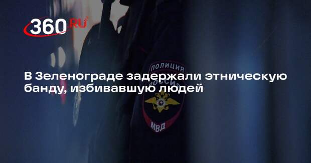 В Зеленограде задержали этническую банду, избивавшую людей