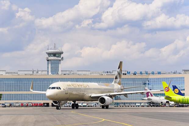 В аэропорту Домодедово двух граждан Киргизии ограбили на 4 миллиона долларов