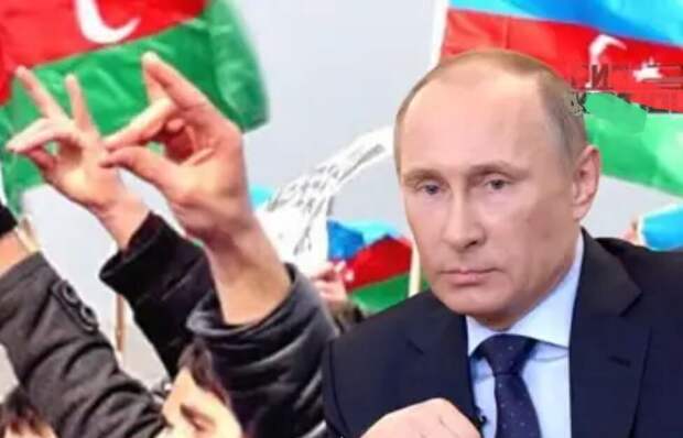 Диаспора, укусившая нас за органы, Путину не по зубам?