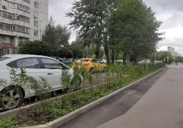 Парковка в Отрадном после благоустройства/пресс-служба префектуры