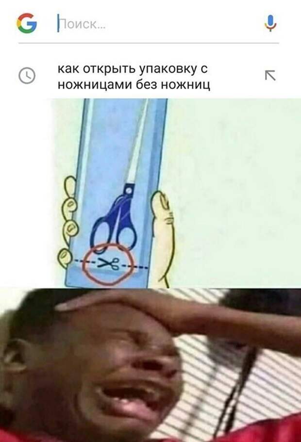 Картинки для улучшения настроения и поднятия тонуса Картинки для улучшения настроения и поднятия тонуса