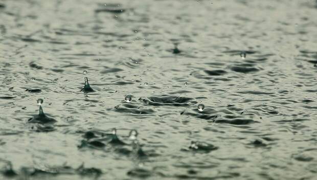 Небольшие дожди ожидаются в Подольске в понедельник