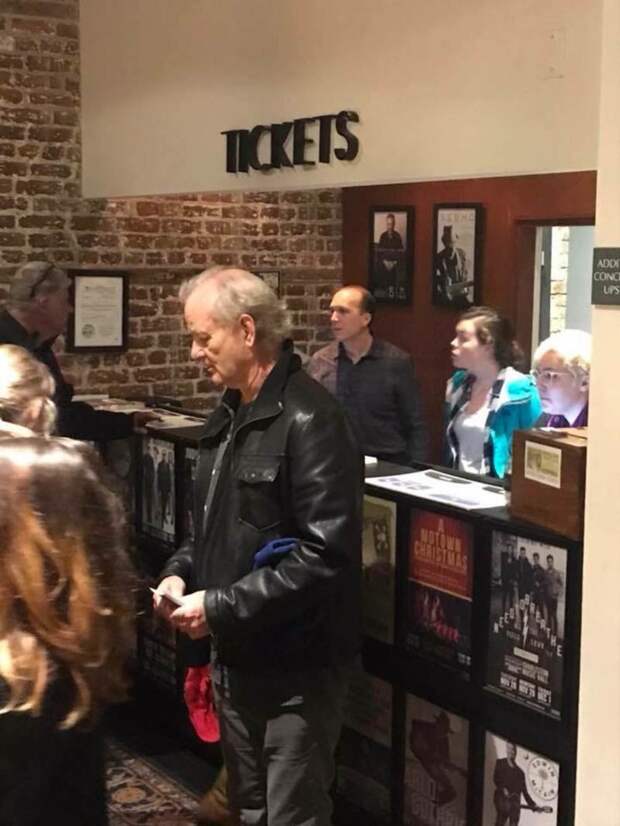 Билл Мюррей пришёл на концерт и купил билеты всем, кто стоял в очереди актер, билеты, билл мюррей, добро, знаменитости, концерт