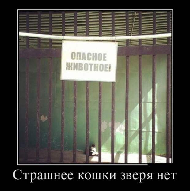 Демотиваторы (30 фото)