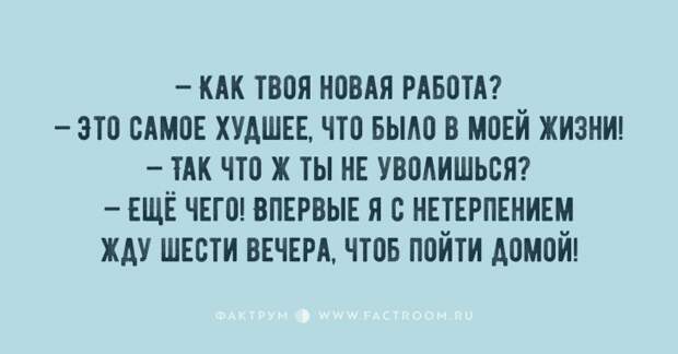 Презабавные анекдоты, дарящие прекрасное настроение на весь день