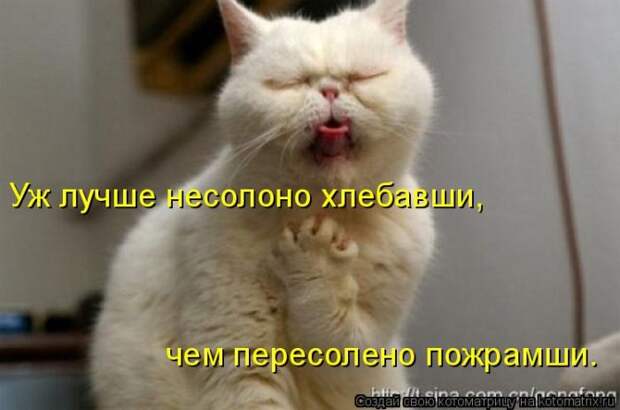 Лучшие котоматрицы недели Лучшие котоматрицы недели