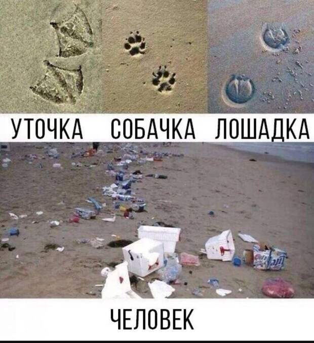 Прикольные картинки для поднятия настроения (23)