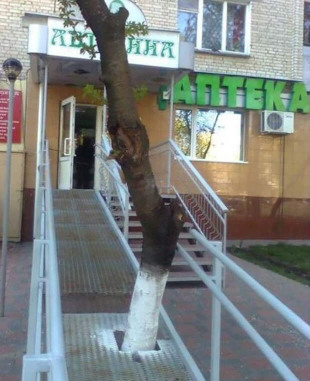 Когда архитекторы жаждут крови