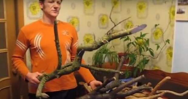 Мужчина насобирал кучу коряг в лесу… Трудно поверить, что из них получается такая красота!