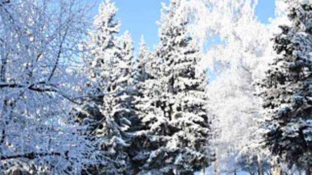 Снег и мороз / Фото: Екатерина Смолихина / amic.ru 