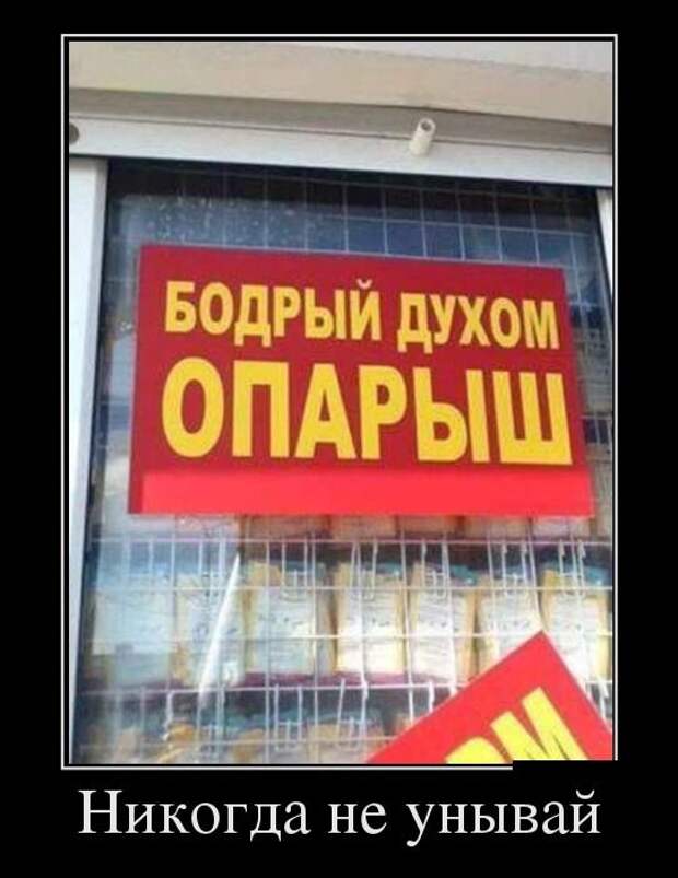 Демотиваторы