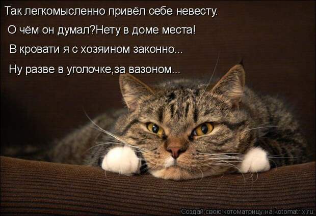 1474017253_kotomatricy-18