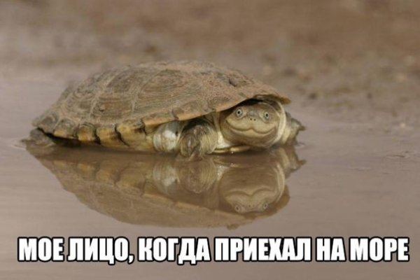 ПОЗИТИВНЫЙ ПОСТ+ 166