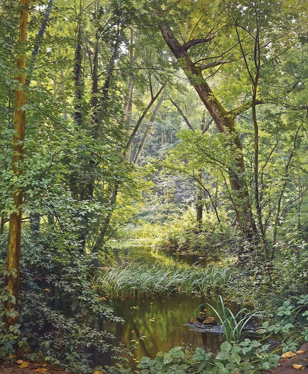 Лесной пруд (The woodland pool) (576x700, 629Kb)
