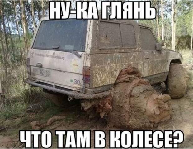 Прикольные картинки (45 шт)