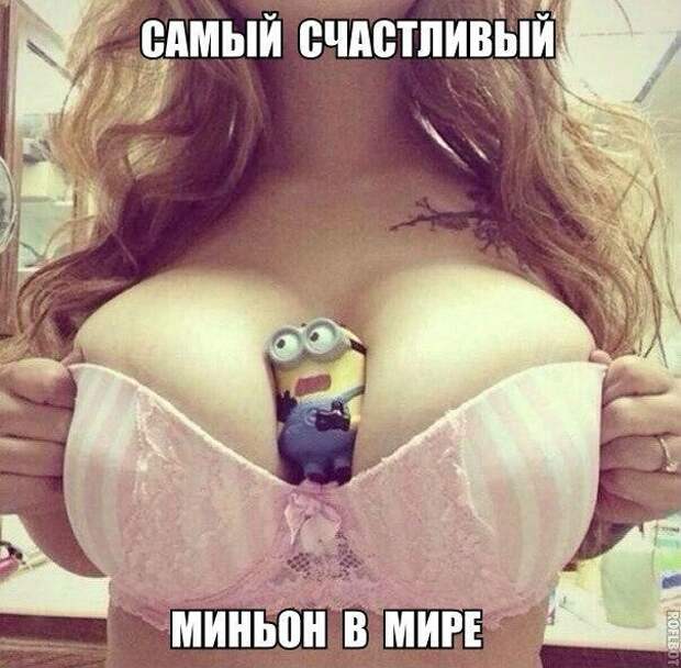 Картинки с надписями мем, прикол, юмор