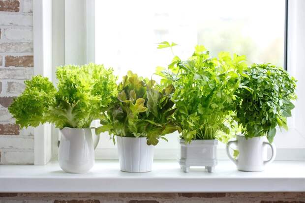 Картинки по запросу indoor kitchen garden ideas