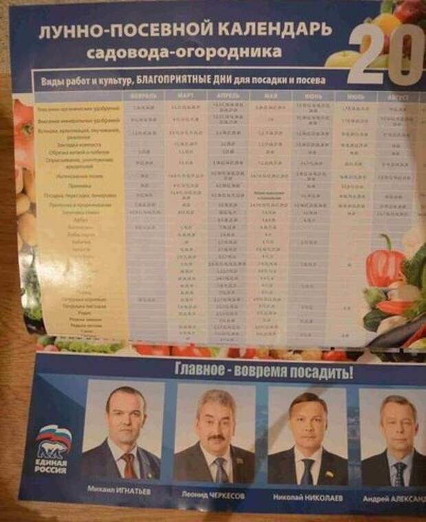 Приколы