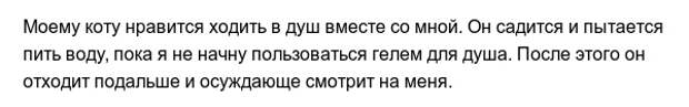 Забавные привычки наших любимых питомцев Забавные привычки наших любимых питомцев