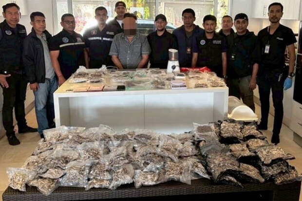 Россияне организовали «Грибной храм» для духовной терапии в Таиланде и угодили под арест