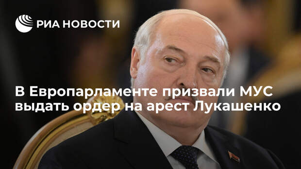 В Европарламенте призвали МУС выдать ордер на арест Лукашенко