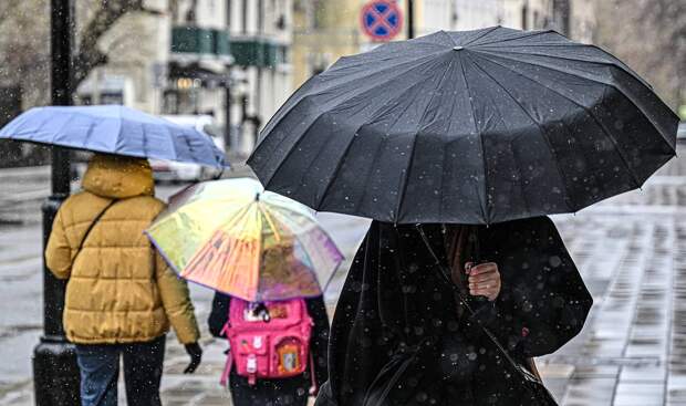 Москву накрыла метель