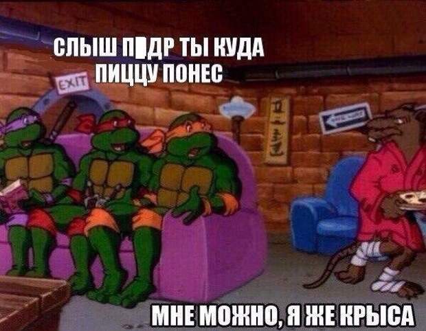 Смешные картинки с надписями приколы, смешные картинки, юмор