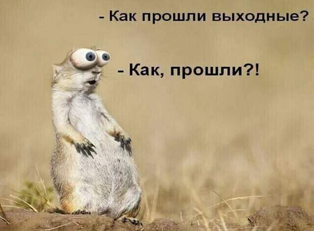 Картинки для улучшения настроения и поднятия тонуса Картинки для улучшения настроения и поднятия тонуса