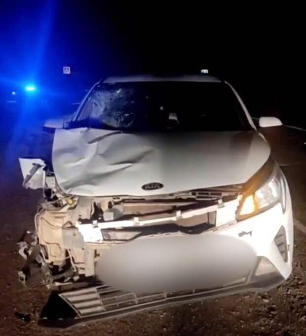 В Завьяловском районе насмерть сбили пешехода