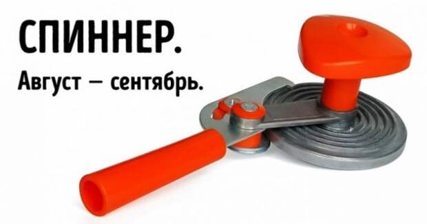 Подборка веселых надписей к фото и картинкам (11 фото)