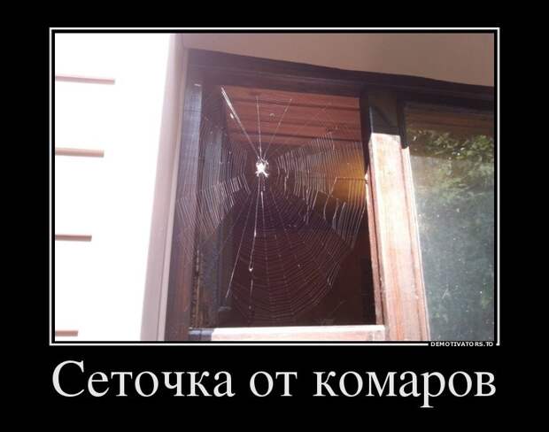 Подборка веселых демотиваторов (10 фото) Подборка веселых демотиваторов (10 фото)