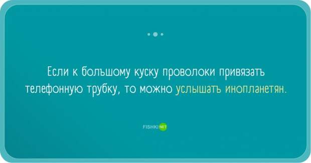 Забавные заблуждения прикол, юмор