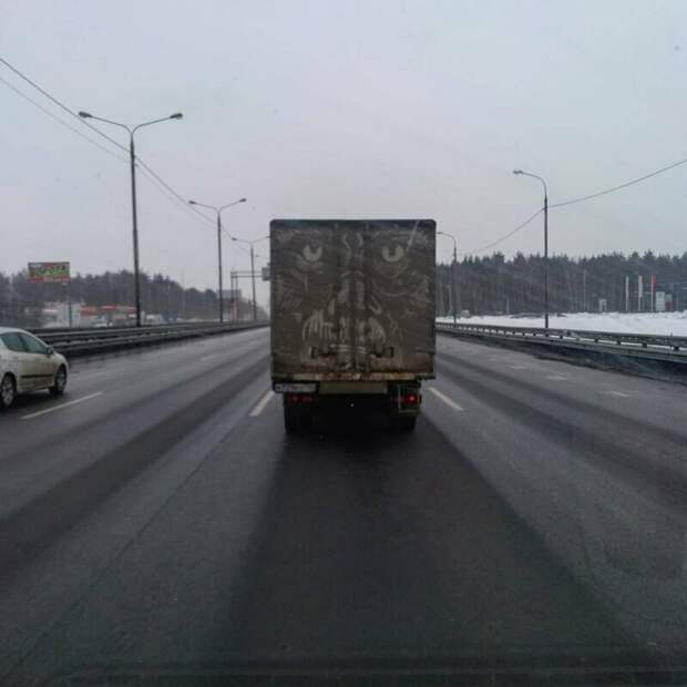 Грязь вместо красок: чего только не увидишь на пыльных грузовиках 