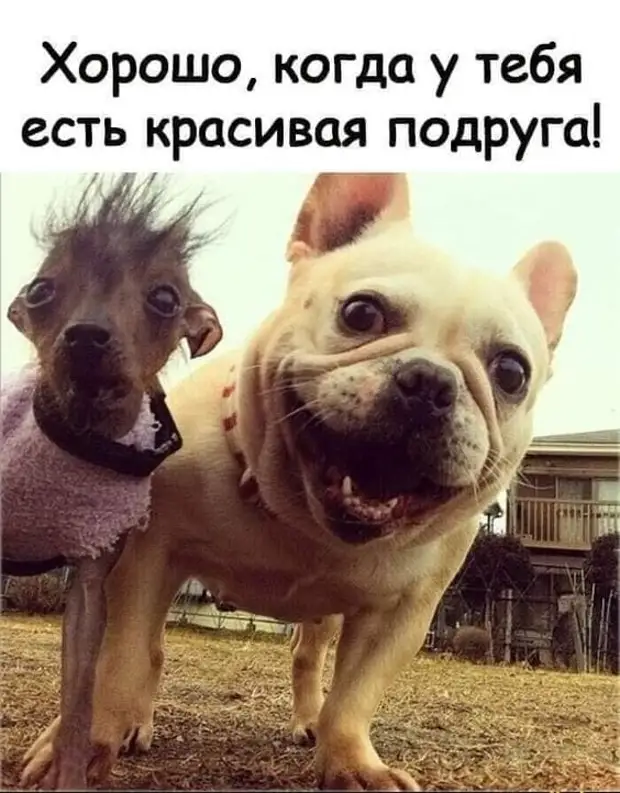 Если датский флаг совместить с английским, получится красное знамя Если датский флаг совместить с английским, получится красное знамя сортир, яблоню, сломал, пихнул, потом, магазин, простил, опять, давление, Сдача, приходит, начинаю, пульс, речку, сзади, Потом, вечером, когда, стоит, молодой