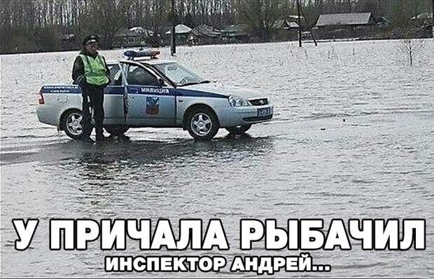 Прикольные и смешные картинки