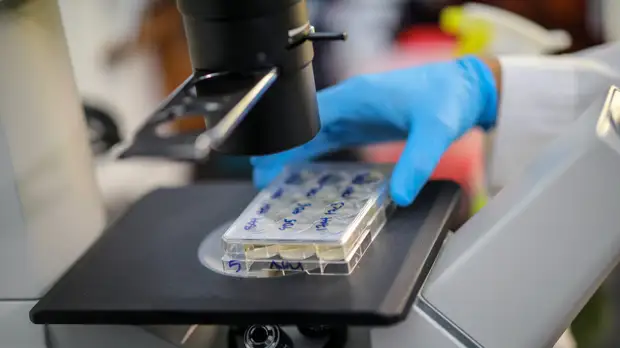 В Греции за сутки выявили 287 новых случаев коронавируса