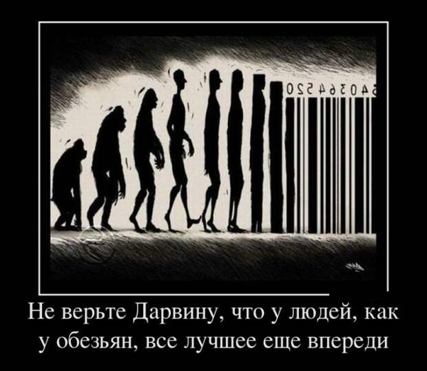 Демотиваторы (30 фото)