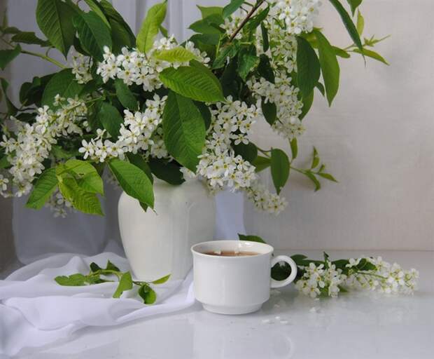 Ceremuxa19 (700x578, 192Kb)