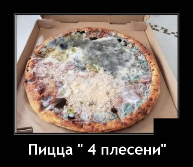 Демотиваторы 20 мая 2021 года