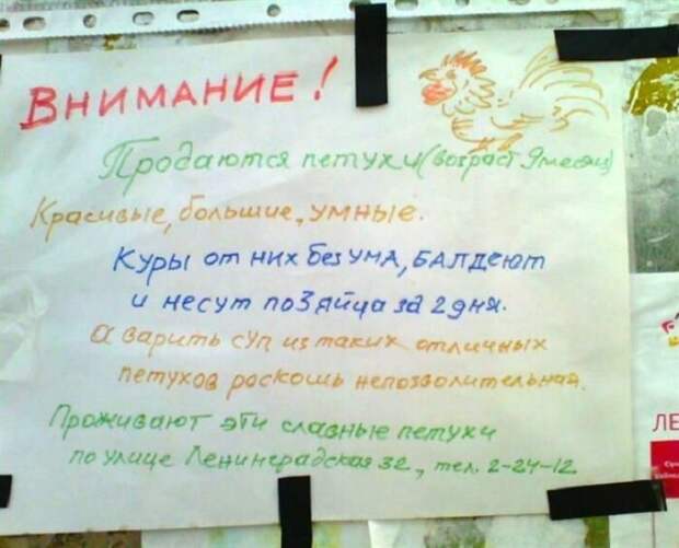 Несколько объявлений, которые моментально поднимают настроение