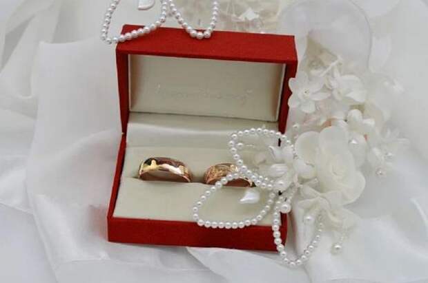 В Липецкой области продолжают создавать семьи, не обращая внимания на пандемию