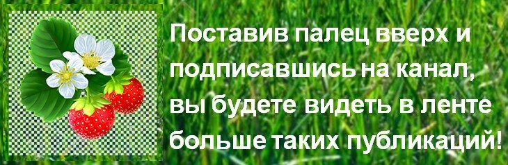 Почитала статьи - как экономить. Но если так жестко экономить, то зачем вообще работать, ради чего