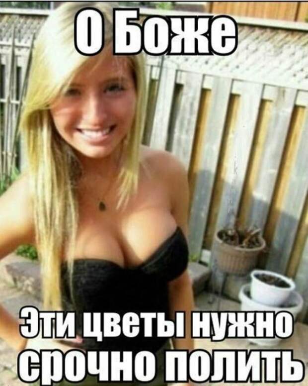 Смешная галерея фотоприколов # 105
