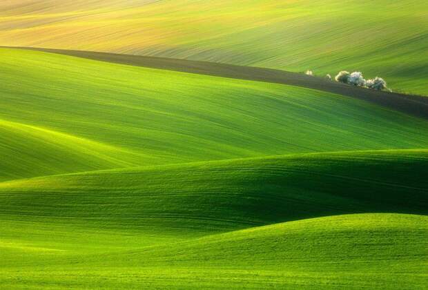 природа, мир, фотографии